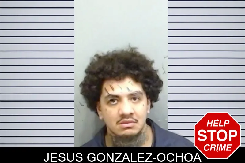 Jesus Gonzalez-Ochoa