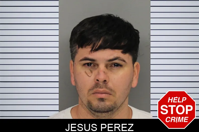 Jesus Perez Mugshots