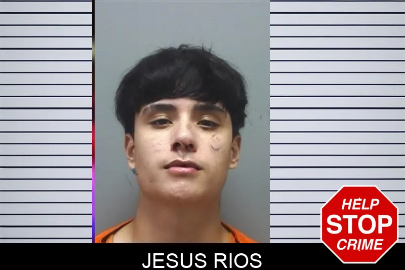 Jesus Rios mugshot