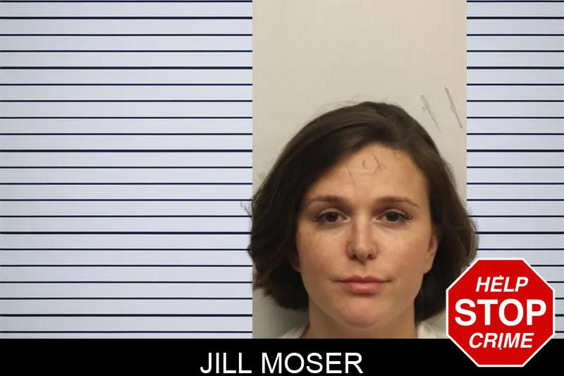 Jill Moser mugshot – Chatham County , Georgia Jill Moser mugshot