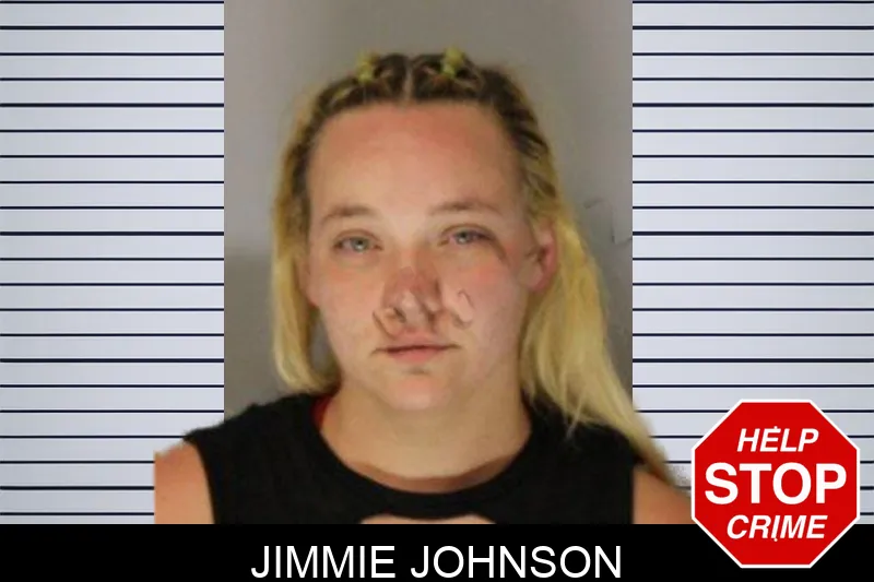 Jimmie Johnson mugshot