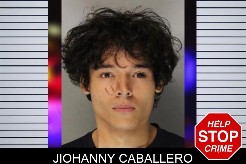 Jiohanny Caballero mugshot – Hall County , Georgia Jiohanny Caballero mugshot