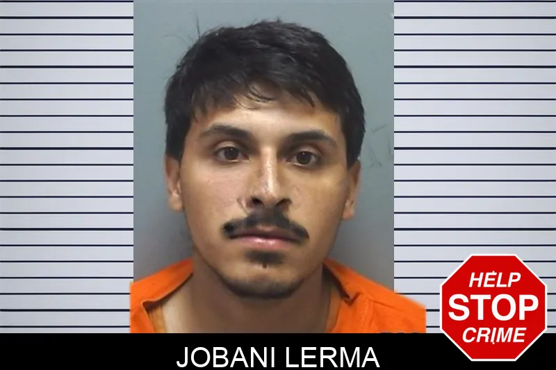 Jobani Lerma Mugshots
