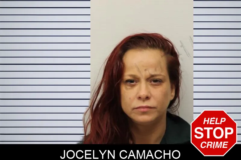 Jocelyn Camacho Mugshots