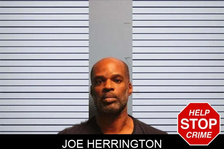 Joe Herrington