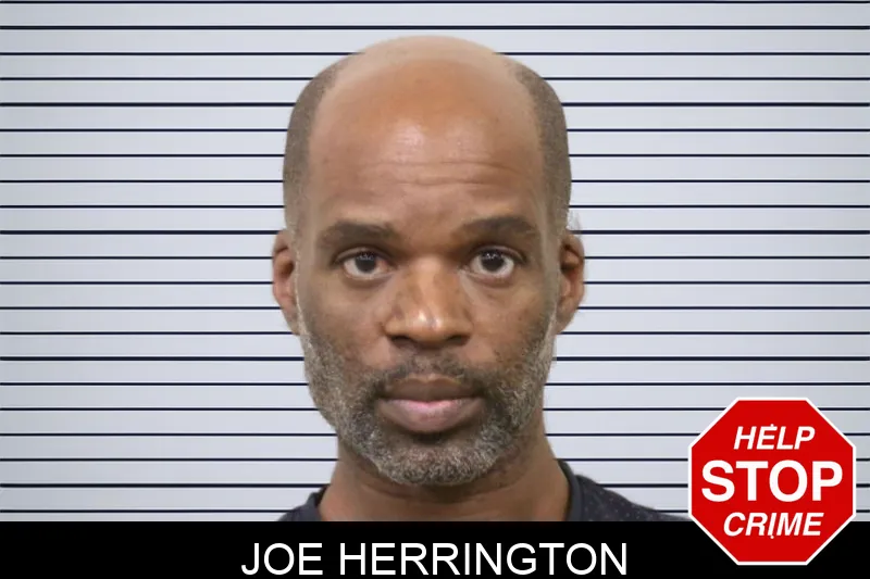 Joe Herrington