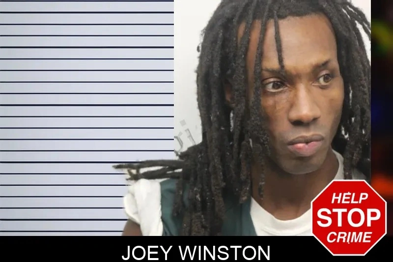 Joey Winston mugshot – Chatham County , Georgia Joey Winston mugshot