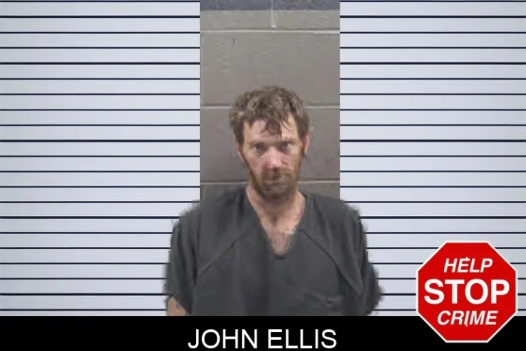 John Ellis