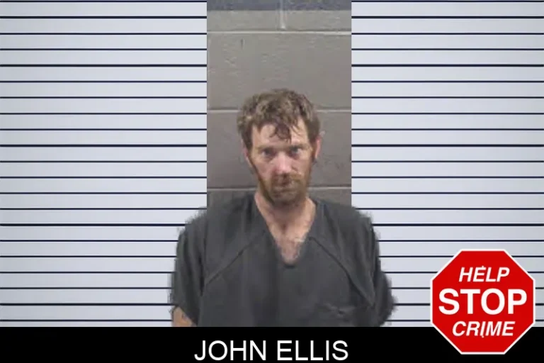 John Ellis