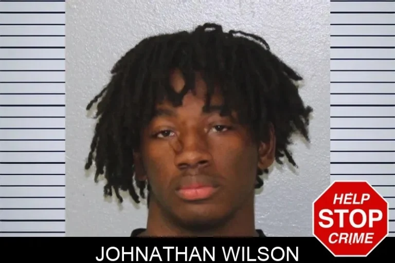 Johnathan Wilson mugshot – Mcintosh County , Georgia Johnathan Wilson