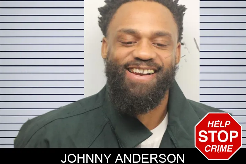 Johnny Anderson mugshot – Chatham County , Georgia Johnny Anderson mugshot