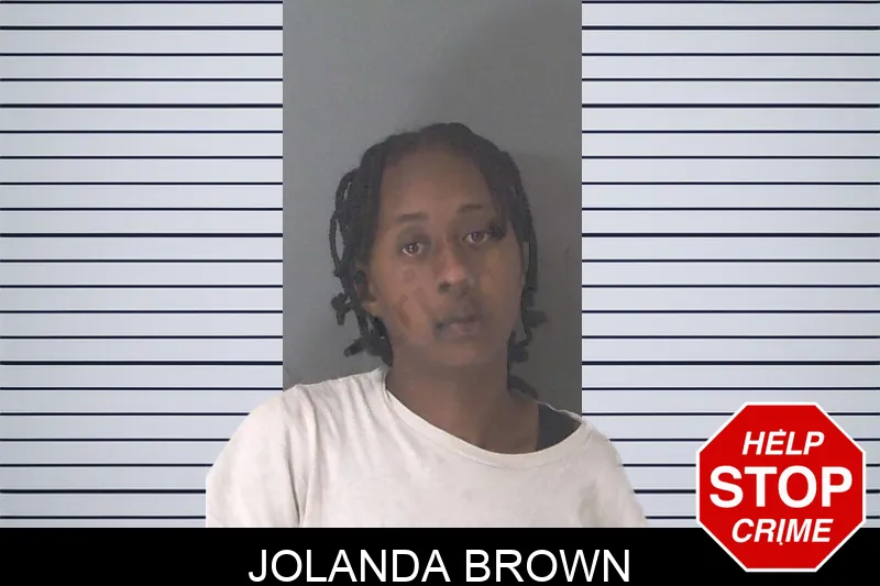 Jolanda Brown Mugshots