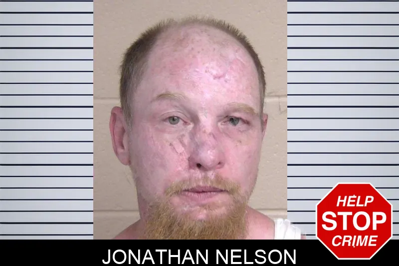 Jonathan Nelson Mugshots