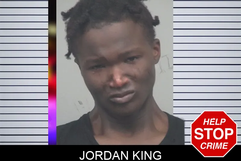 Jordan King mugshot – Gwinnett County , Georgia Jordan King mugshot