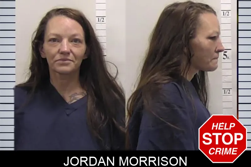 Jordan Morrison Mugshots