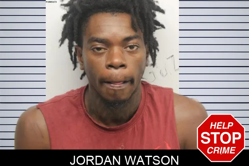Jordan Watson mugshot – Chatham County , Georgia Jordan Watson mugshot