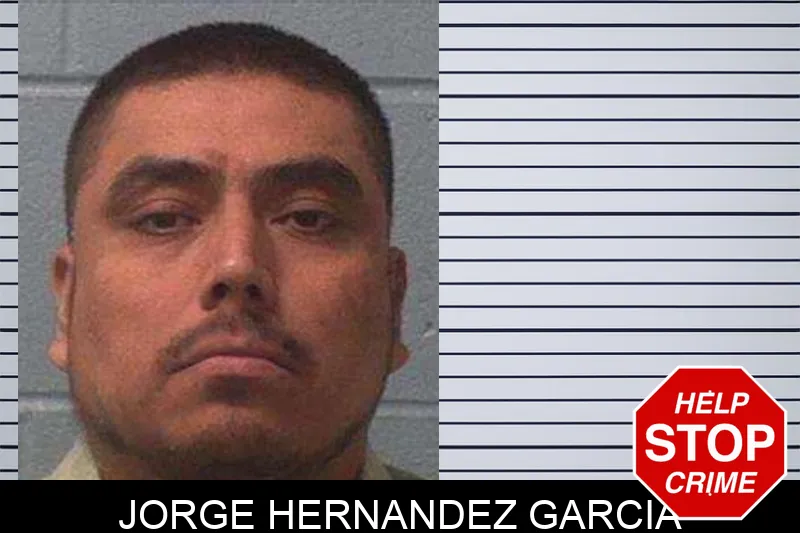 Jorge Hernandez Garcia