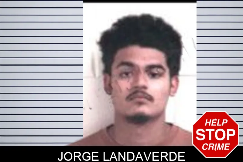 Jorge Landaverde Mugshots