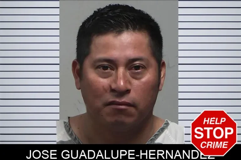 Jose Guadalupe-Hernandez