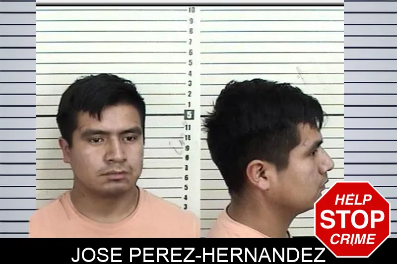 Jose Perez-Hernandez