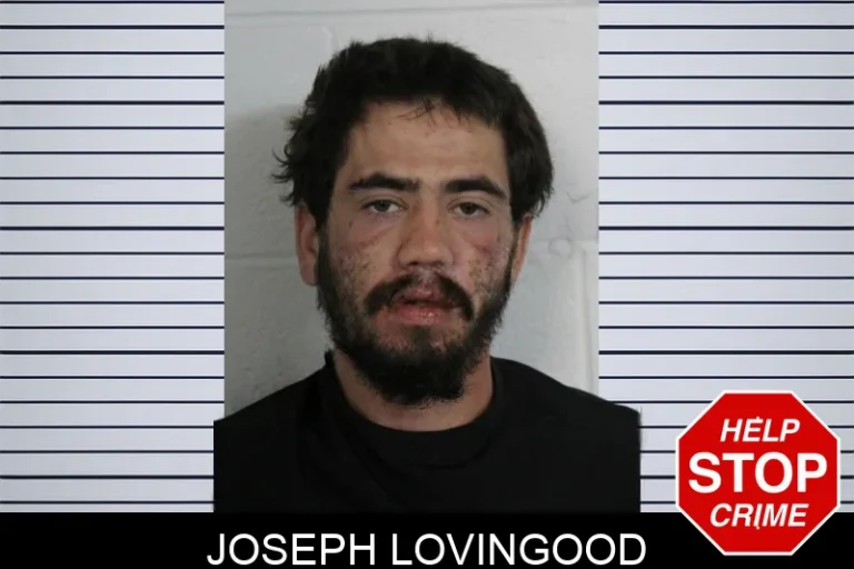 Joseph Lovingood mugshot – Floyd County , Georgia Joseph Lovingood