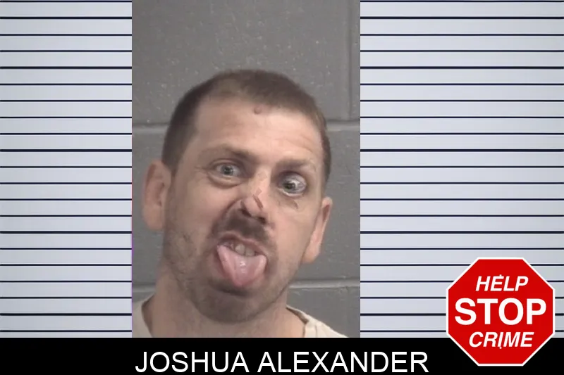 Joshua Alexander mugshot