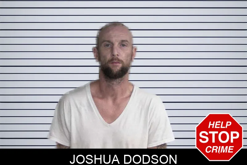 Joshua Dodson