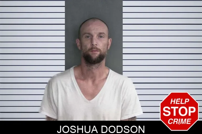 Joshua Dodson