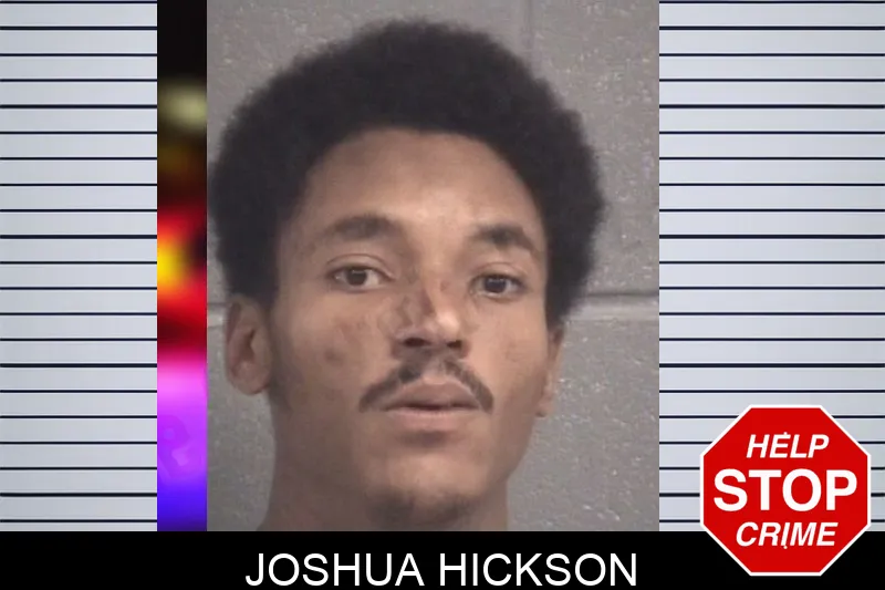 Joshua Hickson mugshot