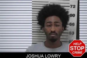 Joshua Lowry mugshot