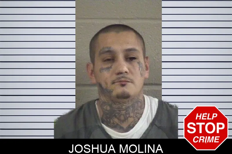 Joshua Molina mugshot
