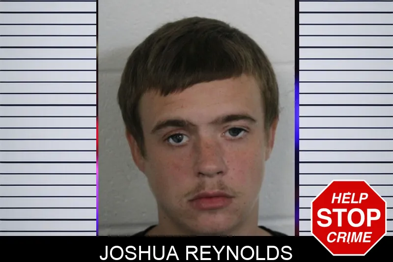 Joshua Reynolds