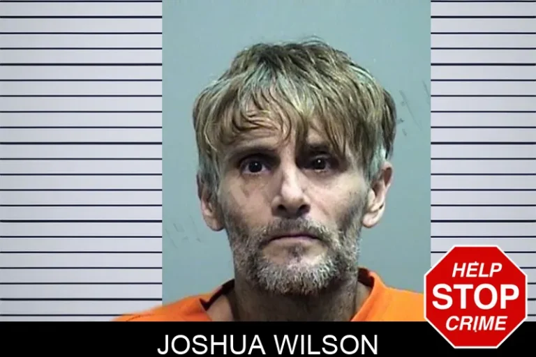 Joshua Wilson mugshot – Effingham County , Georgia Joshua Wilson