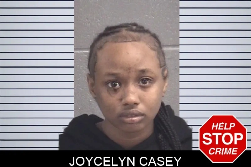 Joycelyn Casey Mugshots
