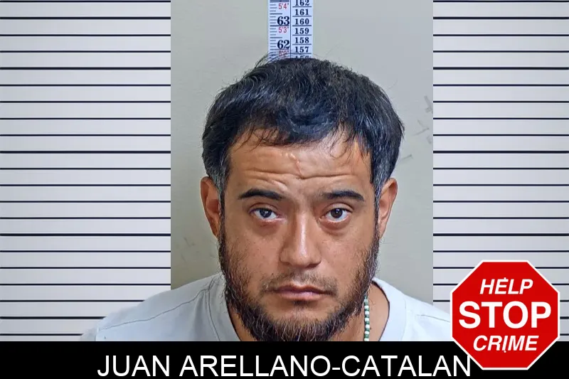 Juan Arellano-Catalan mugshot