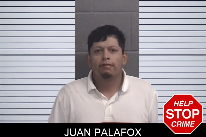 Juan Palafox Mugshots