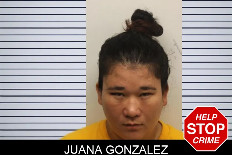Juana Gonzalez mugshot – Chatham County , Georgia Juana Gonzalez mugshot