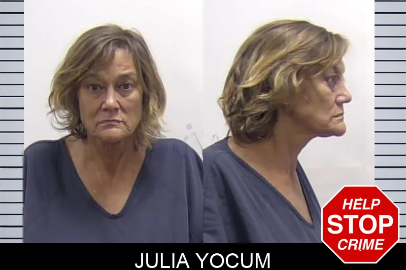 Julia Yocum Mugshots
