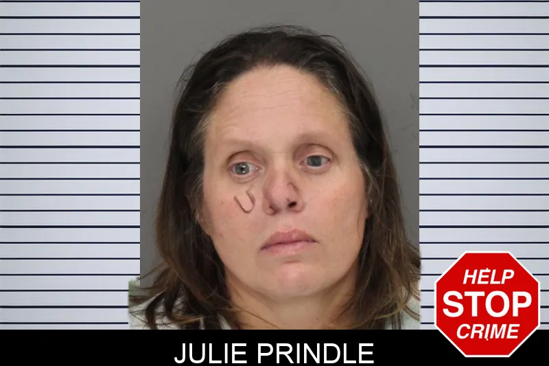 Julie Prindle mugshot