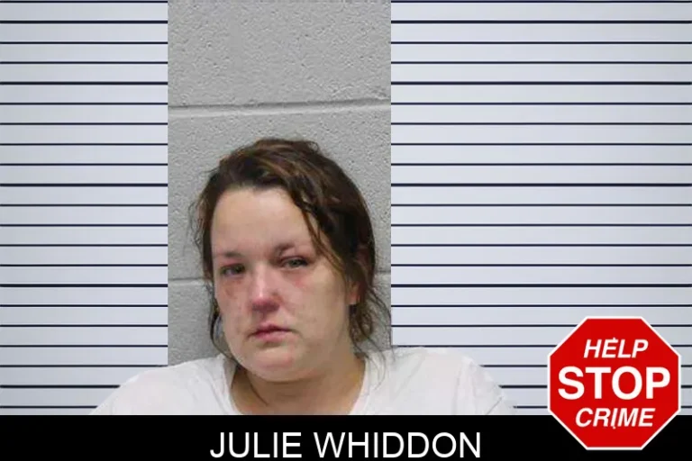 Julie Whiddon