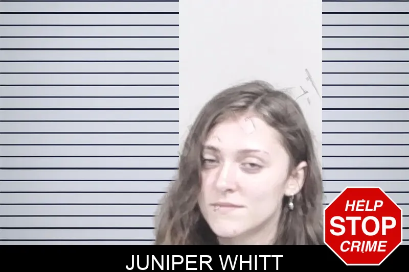 Juniper Whitt mugshot – Lowndes County , Georgia Juniper Whitt mugshot