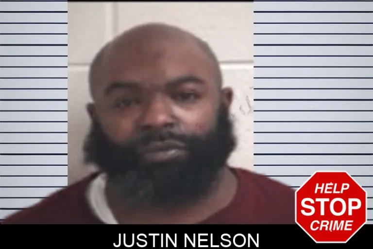 Justin Nelson mugshot – Henry County , Georgia Justin Nelson