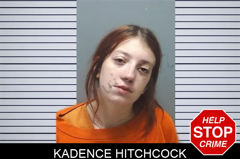 Kadence Hitchcock mugshot – Cherokee County , Georgia Kadence Hitchcock mugshot