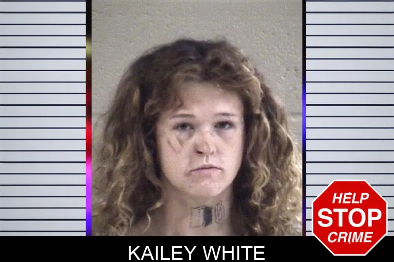 Kailey White Mugshots