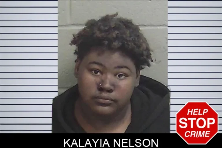Kalayia Nelson mugshot – Wayne County , Georgia Kalayia Nelson