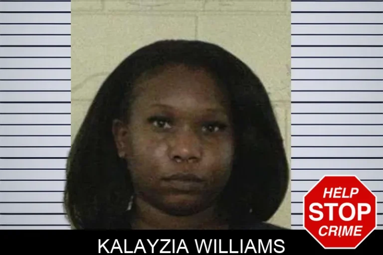 Kalayzia Williams mugshot – Liberty County , Georgia Kalayzia Williams