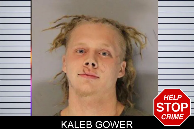 Kaleb Gower mugshot