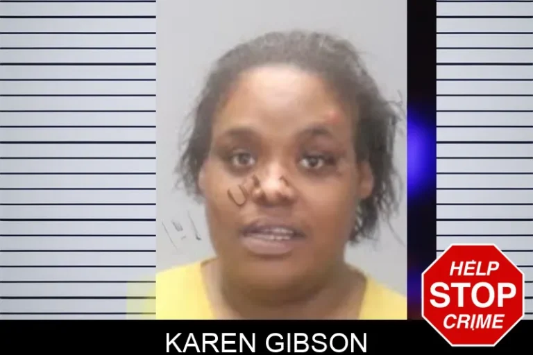 Karen Gibson