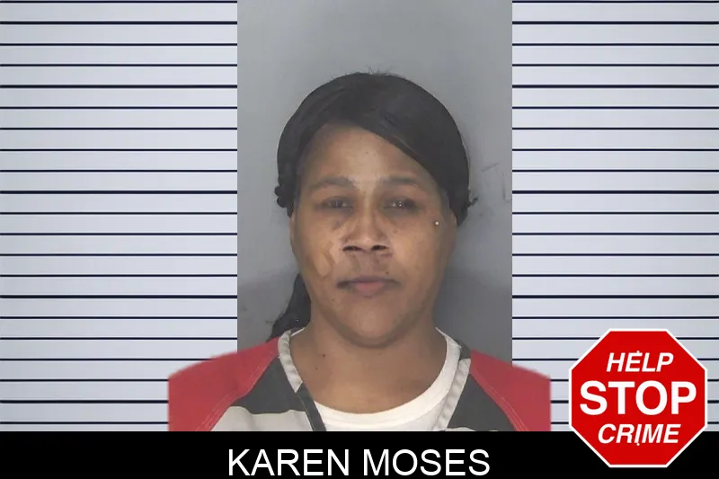 Karen Moses Mugshots