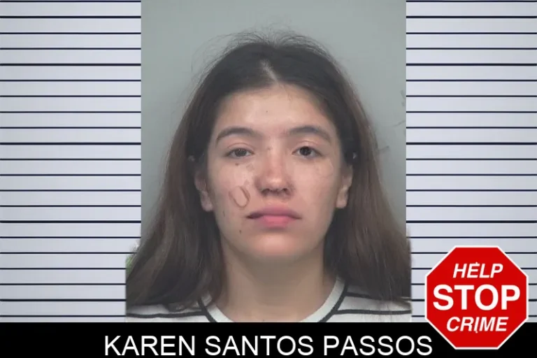 Karen Santos Passos